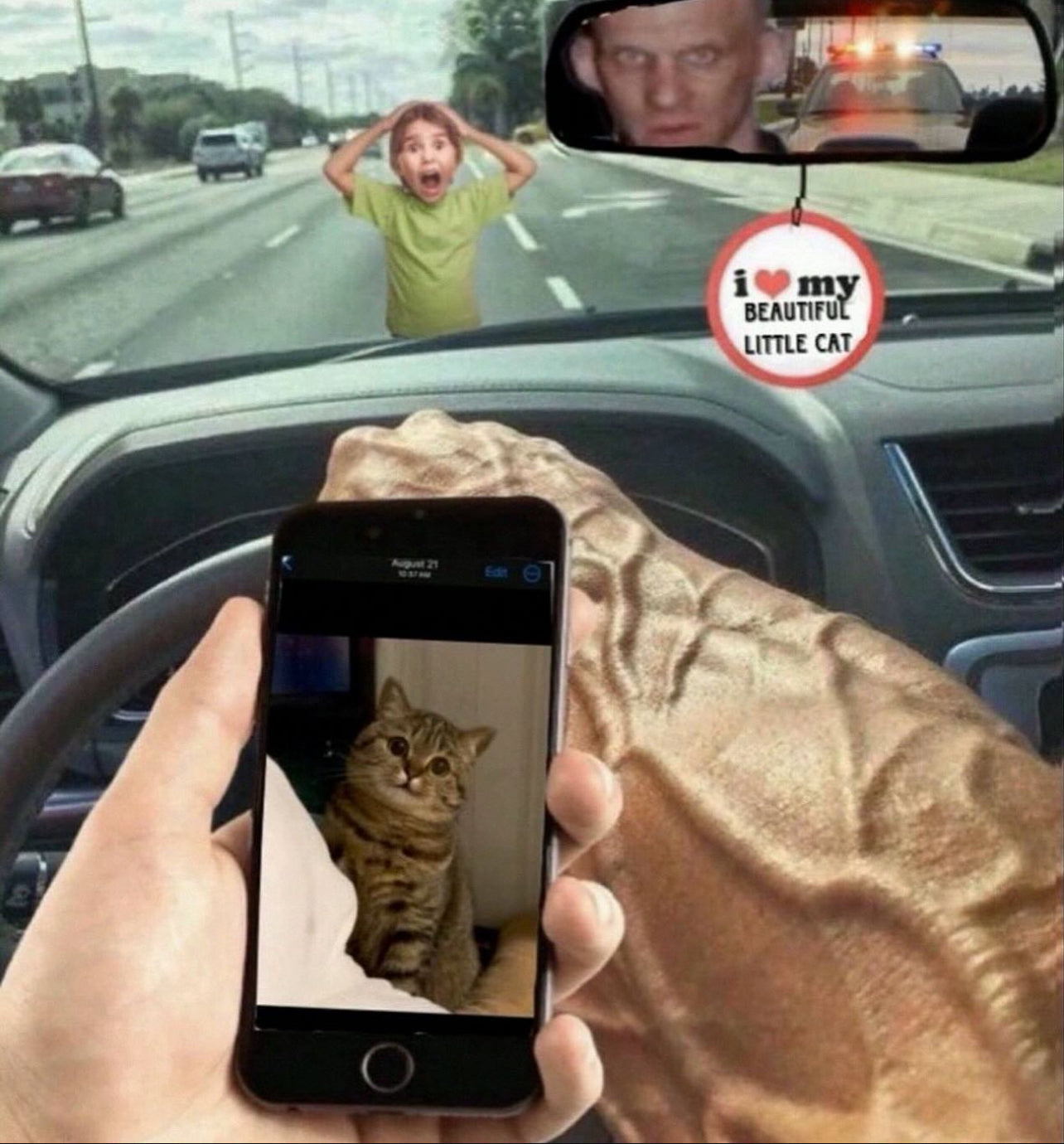 Me encanta mi hermoso gatito