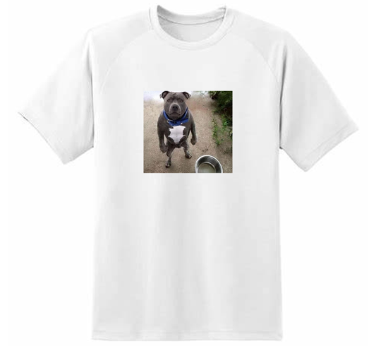 Dawg Tee