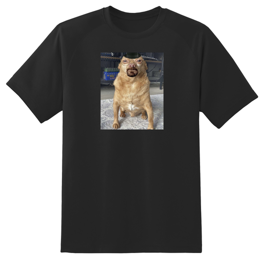 Heisenberg Dog Tee