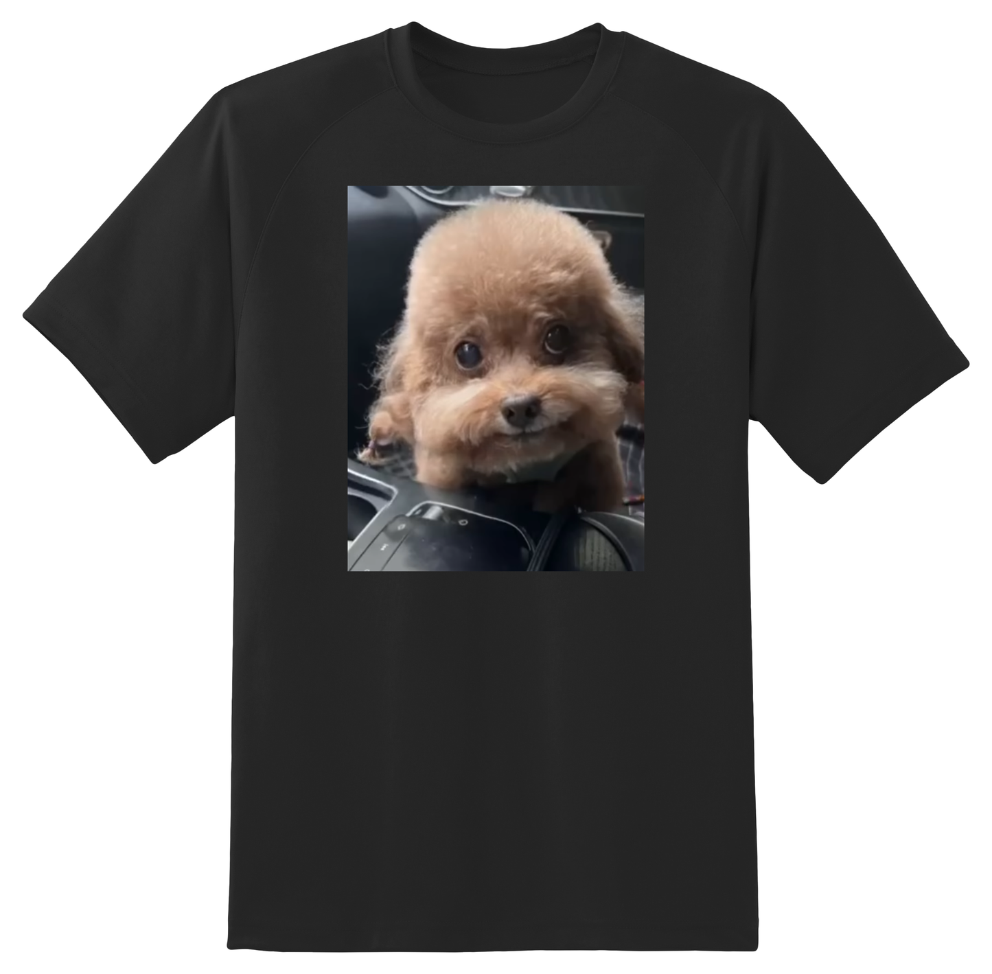 Chinese Rappin' Dog Tee